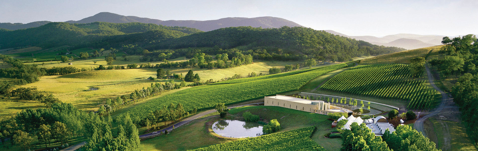 Yarra Valley Wine Tours